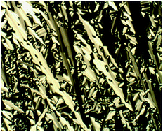 Graphical abstract: Chiral ionic liquid crystals based on thiourea