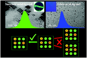 Graphical abstract: Succinic acid-assisted stability enhancement of a colloidal organometal halide perovskite and its application as a fluorescent keypad lock