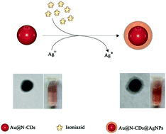 Graphical abstract: A sensitive plasmonic probe based on in situ growth of a Ag shell on a Au@N-CD nanocomposite for detection of isoniazid in environmental and biological samples