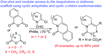 Graphical abstract: One-shot access to isoquinolone and (hetero)izidinone architectures using cyclic α-chloro eneformamides and cyclic anhydrides