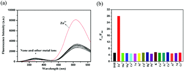 Graphical abstract: A selective and sensitive peptide-based fluorescent chemical DSH sensor for detection of zinc ions and application in vitro and in vivo