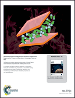 Graphical abstract: Inside back cover