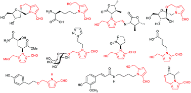 Graphical abstract: 2-Formylpyrrole natural products: origin, structural diversity, bioactivity and synthesis