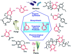 Graphical abstract: Tropolone natural products