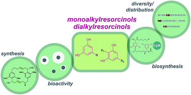 Graphical abstract: Chemistry, bioactivity and biosynthesis of cyanobacterial alkylresorcinols