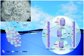 Graphical abstract: Multiple carrier-transfer pathways in a flower-like In2S3/CdIn2S4/In2O3 ternary heterostructure for enhanced photocatalytic hydrogen production