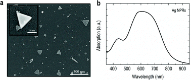 Graphical abstract: Flexible random lasers with tunable lasing emissions