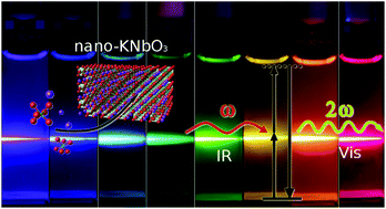 Graphical abstract: Nonlinear optical potassium niobate nanocrystals as harmonic markers: the role of precursors and stoichiometry in hydrothermal synthesis