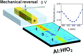 Graphical abstract: The flexoelectric effect in Al-doped hafnium oxide
