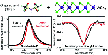 Graphical abstract: Investigating the dynamics of excitons in monolayer WSe2 before and after organic super acid treatment