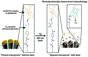 Graphical abstract: ROS-responsive mesoporous silica nanoparticles for MR imaging-guided photodynamically maneuvered chemotherapy