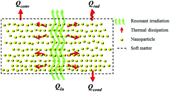 Graphical abstract: Effects of geometry and composition of soft polymer films embedded with nanoparticles on rates for optothermal heat dissipation