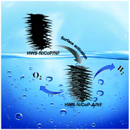 Graphical abstract: Hierarchical whisker-on-sheet NiCoP with adjustable surface structure for efficient hydrogen evolution reaction