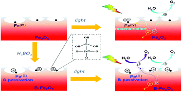 Graphical abstract: Boron-passivated surface Fe(iv) defects in hematite for highly efficient water oxidation