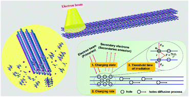 Graphical abstract: A Coulomb explosion strategy to tailor the nano-architecture of α-MoO3 nanobelts and an insight into its intrinsic mechanism