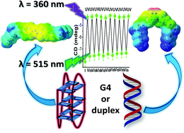 Graphical abstract: Light-driven chiroptical photoswitchable DNA assemblies mediated by bioinspired photoresponsive molecules