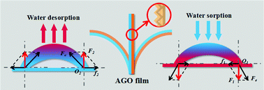Graphical abstract: An asymmetric graphene oxide film for developing moisture actuators