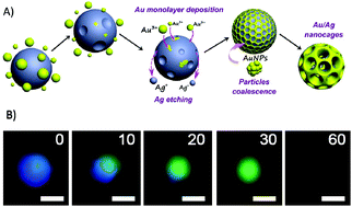 Graphical abstract: A galvanic exchange process visualized on single silver nanoparticles via dark-field microscopy imaging