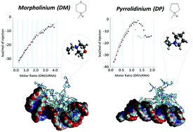 Graphical abstract: Elucidating the role of surface chemistry on cationic phosphorus dendrimer–siRNA complexation