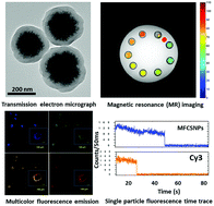 Graphical abstract: Carbon coated core–shell multifunctional fluorescent SPIONs