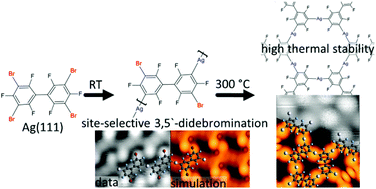 Graphical abstract: Remote functionalization in surface-assisted dehalogenation by conformational mechanics: organometallic self-assembly of 3,3′,5,5′-tetrabromo-2,2′,4,4′,6,6′-hexafluorobiphenyl on Ag(111)