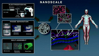 Graphical abstract: Nanofibrous scaffolds for biomedical applications