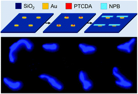 Graphical abstract: Positioning growth of NPB crystalline nanowires on the PTCDA nanocrystal template