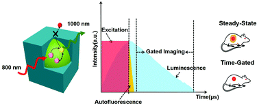 Graphical abstract: Rare-earth-doped fluoride nanoparticles with engineered long luminescence lifetime for time-gated in vivo optical imaging in the second biological window