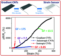 Graphical abstract: Ultra-stretchable and highly sensitive strain sensor based on gradient structure carbon nanotubes