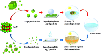 Graphical abstract: Floatable superhydrophobic Ag2O photocatalyst without a modifier and its controllable wettability by particle size adjustment