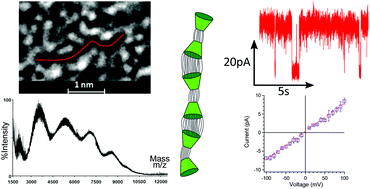 Graphical abstract: Versatile cyclodextrin nanotube synthesis with functional anchors for efficient ion channel formation: design, characterization and ion conductance