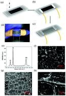 Graphical abstract: An ultrasensitive strain sensor with a wide strain range based on graphene armour scales