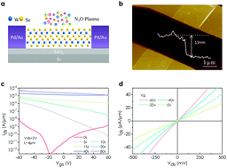 Graphical abstract: Enhancing electronic and optoelectronic performances of tungsten diselenide by plasma treatment