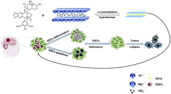 Graphical abstract: Etoposide loaded layered double hydroxide nanoparticles reversing chemoresistance and eradicating human glioma stem cells in vitro and in vivo