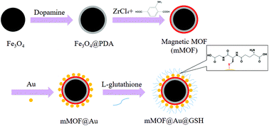 Graphical abstract: Hydrophilic tripeptide-functionalized magnetic metal–organic frameworks for the highly efficient enrichment of N-linked glycopeptides