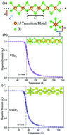 Graphical abstract: Robust half-metallicity in transition metal tribromide nanowires