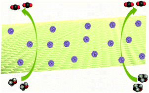 Graphical abstract: 3D–2D heterostructure of PdRu/NiZn oxyphosphides with improved durability for electrocatalytic methanol and ethanol oxidation