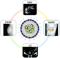 Graphical abstract: An all-in-one nanoparticle (AION) contrast agent for breast cancer screening with DEM-CT-MRI-NIRF imaging