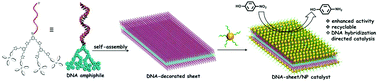 Graphical abstract: Self-assembly of DNA–tetraphenylethylene amphiphiles into DNA-grafted nanosheets as a support for the immobilization of gold nanoparticles: a recyclable catalyst with enhanced activity