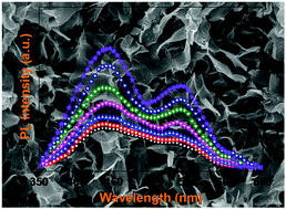 Graphical abstract: Controllable dynamics of oxygen vacancies through extrinsic doping for superior catalytic activities