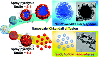 Graphical abstract: Lithium-ion storage performances of sunflower-like and nano-sized hollow SnO2 spheres by spray pyrolysis and the nanoscale Kirkendall effect