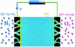 Graphical abstract: MoS2-modified porous gas diffusion layer with air–solid–liquid interface for efficient electrocatalytic water splitting