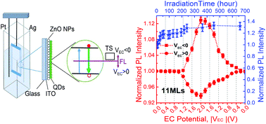 Graphical abstract: Effect of surface/interfacial defects on photo-stability of thick-shell CdZnSeS/ZnS quantum dots