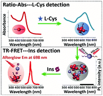 Graphical abstract: Functionalized gold and persistent luminescence nanoparticle-based ratiometric absorption and TR-FRET nanoplatform for high-throughput sequential detection of l-cysteine and insulin