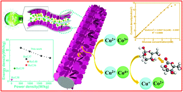 Graphical abstract: Direct growth of CuCo2S4 nanosheets on carbon fiber textile with enhanced electrochemical pseudocapacitive properties and electrocatalytic properties towards glucose oxidation