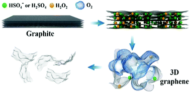 Graphical abstract: High-quality and low-cost three-dimensional graphene from graphite flakes via carbocation-induced interlayer oxygen release