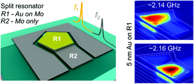 Graphical abstract: Split resonances for simultaneous detection and control measurements in a single bulk acoustic wave (BAW) sensor