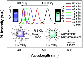 Graphical abstract: Halide exchange and surface modification of metal halide perovskite nanocrystals with alkyltrichlorosilanes