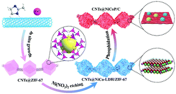 Graphical abstract: Assembling Ni–Co phosphides/carbon hollow nanocages and nanosheets with carbon nanotubes into a hierarchical necklace-like nanohybrid for electrocatalytic oxygen evolution reaction