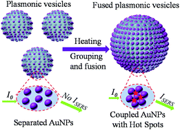 Graphical abstract: Plasmonic vesicles with tailored collective properties